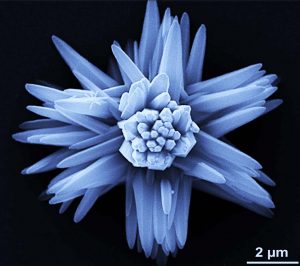 Nucleation & Crystallization